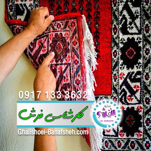 اولین کارخانه قالیشویی مکانیزه و اتومات در شیراز